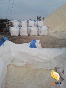 Salt In Bulk