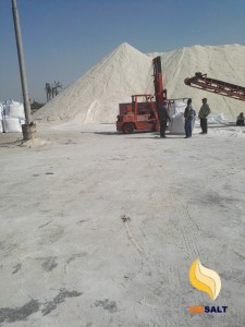bulk salt